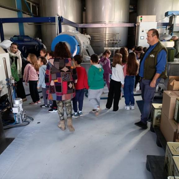 Επίσκεψη σε ελαιοτριβείο Γ΄τάξη